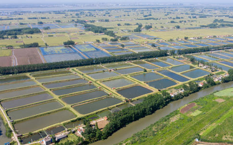 政策扶持下水产养殖领域迅速发展
